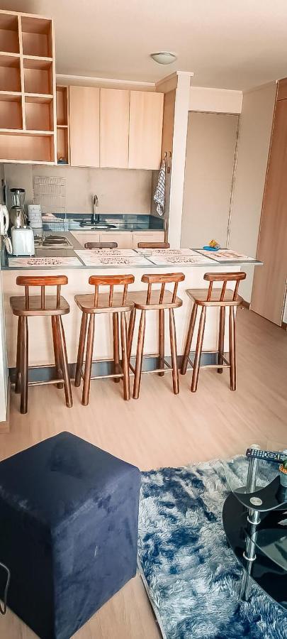 Departamento En El Centro De Santiago6 Apartamento Santiago